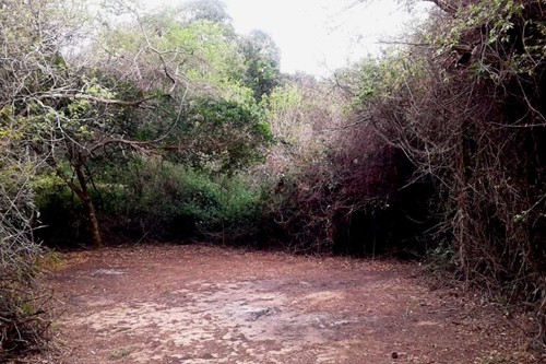 Tierras del Mar 2020 (15)