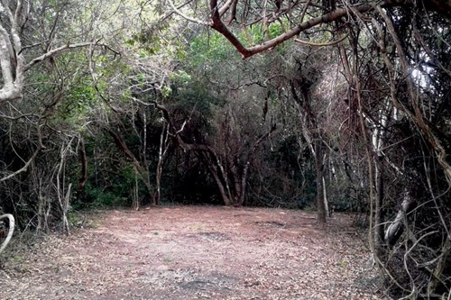 Tierras del Mar 2020 (16)